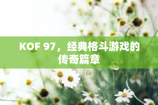 经典格斗游戏的传奇篇章图片