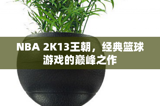 经典篮球游戏的巅峰之作图片