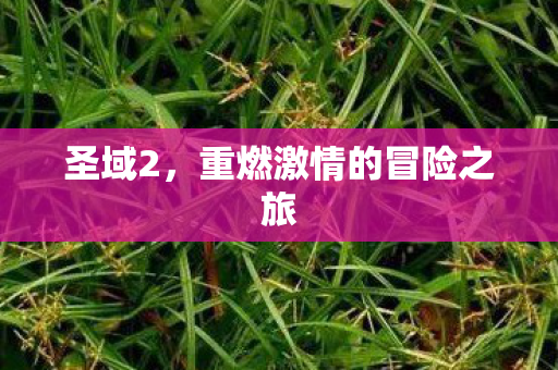 重燃激情的冒险之旅图片