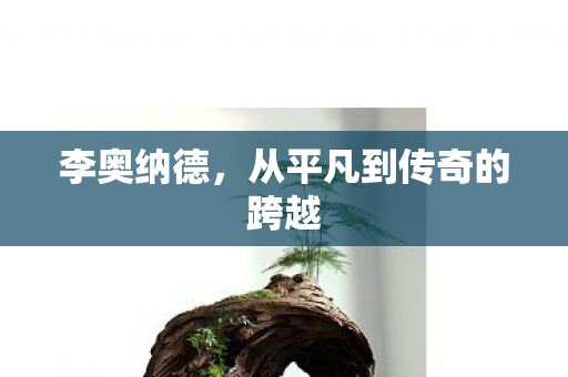 从平凡到传奇的跨越图片