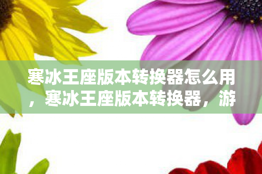 寒冰王座版本转换器怎么用图片