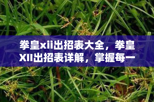 掌握每一个角色的华丽连招图片