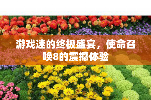 使命召唤8的震撼体验图片