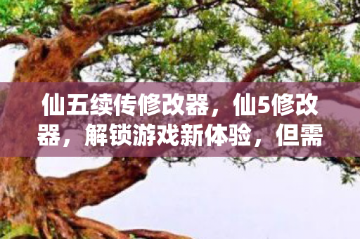 仙五续传修改器图片