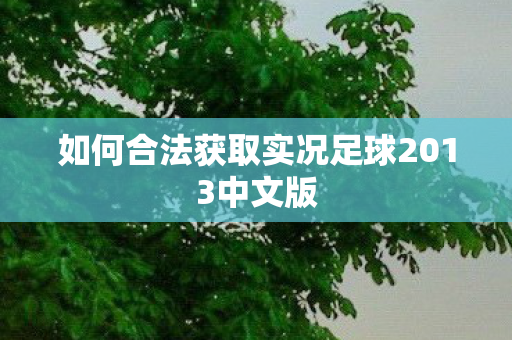 如何合法获取实况足球2013中文版图片
