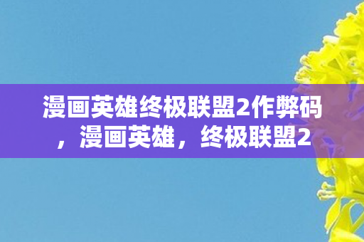 漫画英雄终极联盟2作弊码图片
