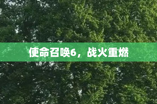 使命召唤6图片