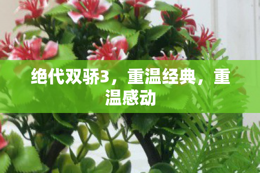 绝代双骄3图片