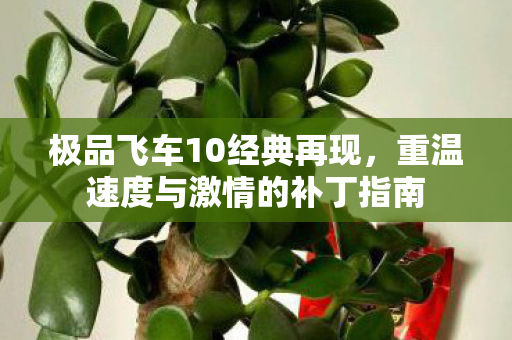 重温速度与激情的补丁指南图片