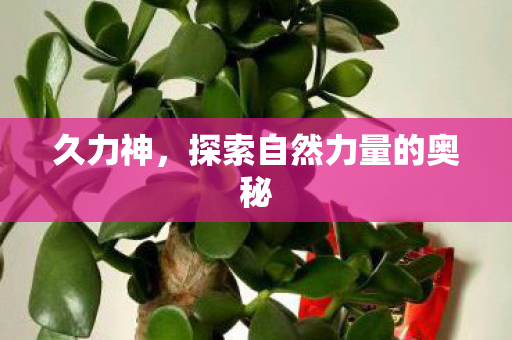 探索自然力量的奥秘图片