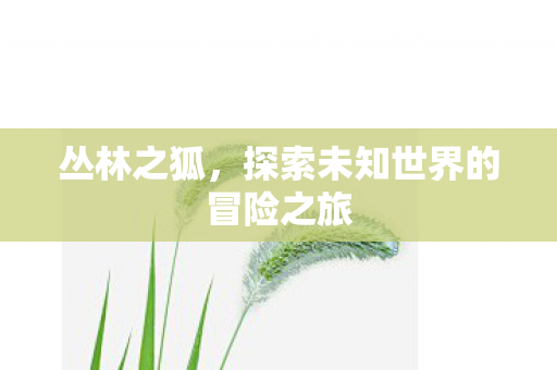 探索未知世界的冒险之旅图片