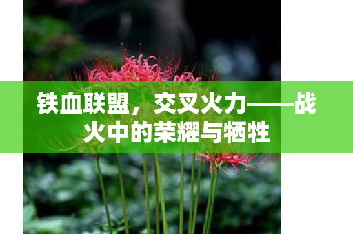 战火中的荣耀与牺牲图片