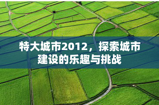 探索城市建设的乐趣与挑战图片