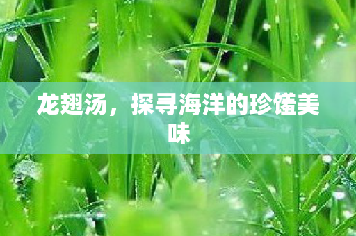 探寻海洋的珍馐美味图片