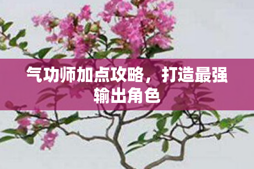 气功师加点攻略，打造最强输出角色
