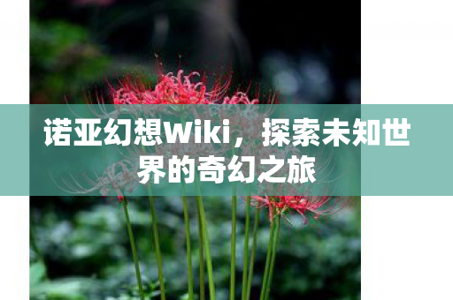 诺亚幻想Wiki，探索未知世界的奇幻之旅