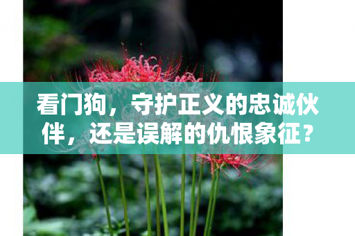 看门狗，守护正义的忠诚伙伴，还是误解的仇恨象征？