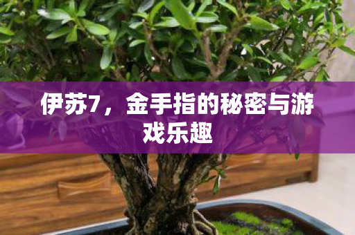 伊苏7，金手指的秘密与游戏乐趣