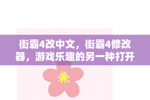 街霸4改中文，街霸4修改器，游戏乐趣的另一种打开方式