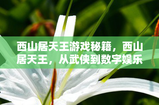 西山居天王游戏秘籍，西山居天王，从武侠到数字娱乐的跨界传奇