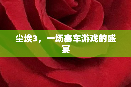 尘埃3，一场赛车游戏的盛宴