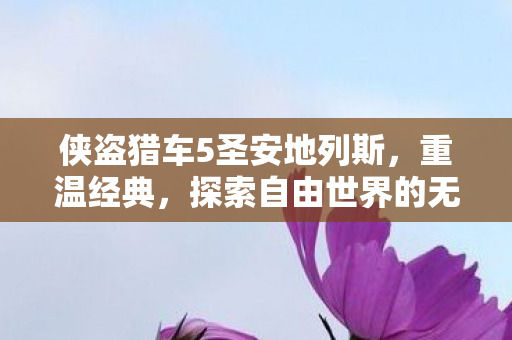 侠盗猎车5圣安地列斯，重温经典，探索自由世界的无限可能