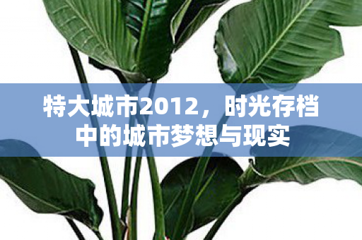 特大城市2012，时光存档中的城市梦想与现实