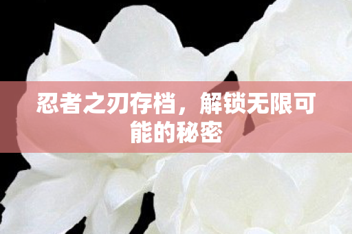 忍者之刃存档，解锁无限可能的秘密