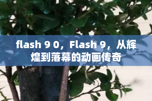 从辉煌到落幕的动画传奇图片