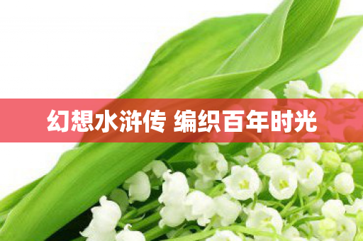幻想水浒传 编织百年时光