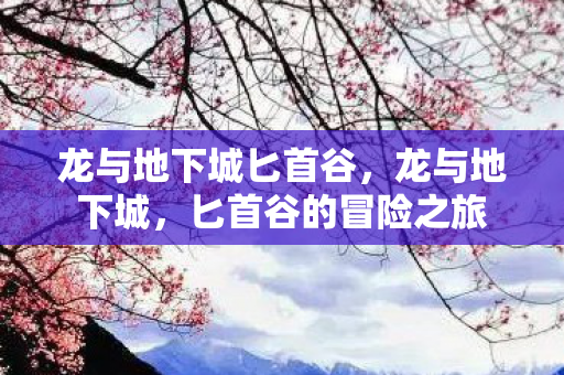 龙与地下城匕首谷,龙与地下城,匕首谷的冒险之旅 龙与地下城匕首谷,龙与地下城,匕首谷的冒险之旅