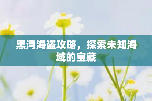 黑湾海盗攻略，探索未知海域的宝藏