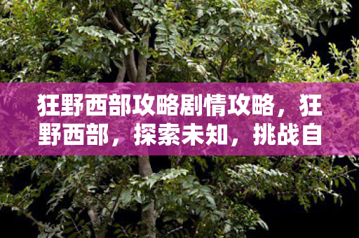 狂野西部攻略剧情攻略，狂野西部，探索未知，挑战自我