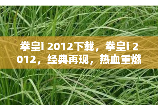 拳皇i 2012下载，拳皇i 2012，经典再现，热血重燃