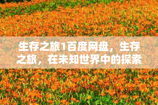 生存之旅1百度网盘，生存之旅，在未知世界中的探索与成长