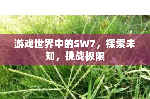 游戏世界中的SW7,探索未知,挑战极限 游戏世界中的SW7,探索未知,挑战极限
