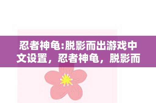忍者神龟:脱影而出游戏中文设置，忍者神龟，脱影而出