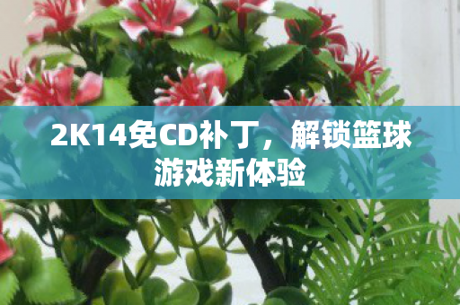 2K14免CD补丁，解锁篮球游戏新体验