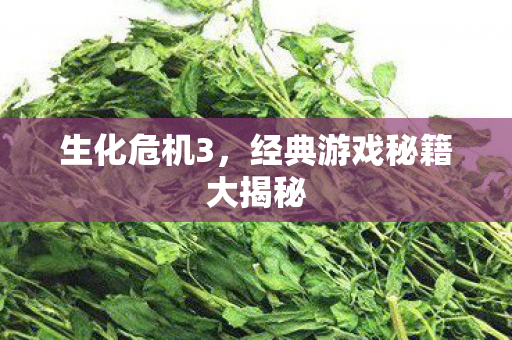 生化危机3，经典游戏秘籍大揭秘