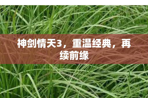 神剑情天3，重温经典，再续前缘