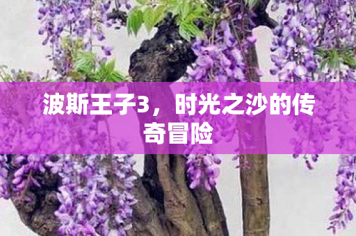 波斯王子3，时光之沙的传奇冒险