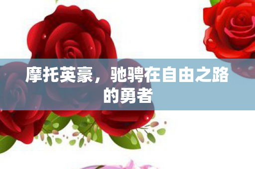 摩托英豪,驰骋在自由之路的勇者 摩托英豪,驰骋在自由之路的勇者