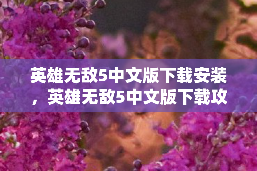 英雄无敌5中文版下载安装，英雄无敌5中文版下载攻略及游戏介绍