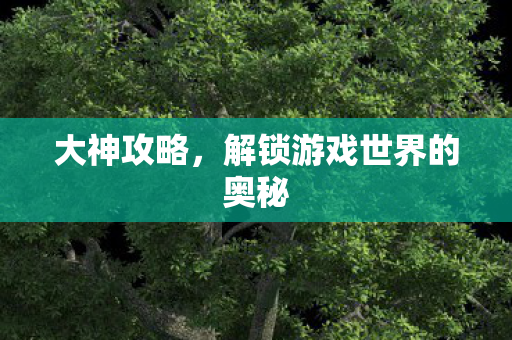 大神攻略，解锁游戏世界的奥秘