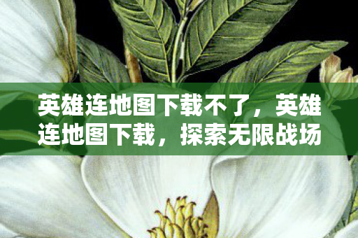 英雄连地图下载不了，英雄连地图下载，探索无限战场的乐趣