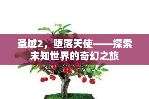 圣域2,堕落天使——探索未知世界的奇幻之旅 圣域2,堕落天使——探索未知世界的奇幻之旅