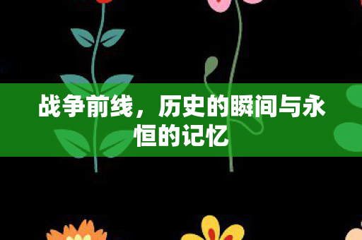 战争前线，历史的瞬间与永恒的记忆