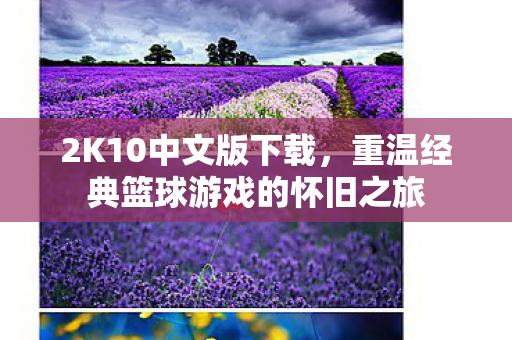 2K10中文版下载，重温经典篮球游戏的怀旧之旅