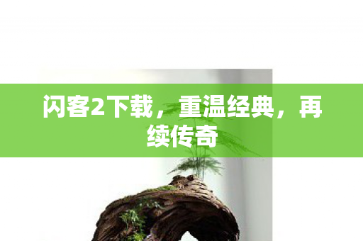 闪客2下载，重温经典，再续传奇