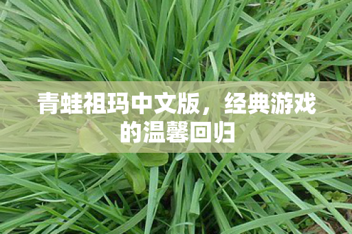 青蛙祖玛中文版，经典游戏的温馨回归